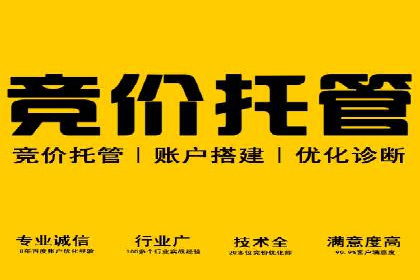 案例解析：专业SEM托管助力企业增长