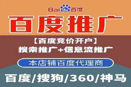 专业sem托管服务案例，揭秘广告投放优化策略
